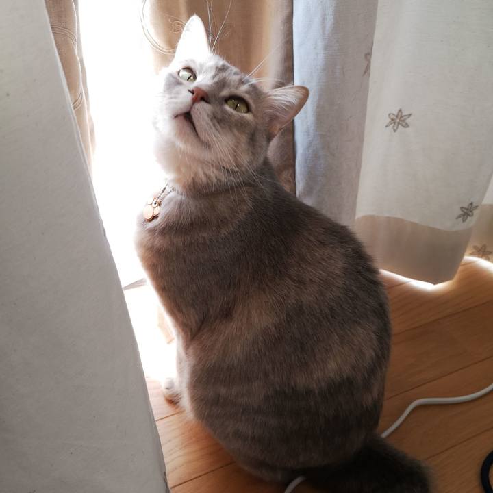 9d821c6d b900 440c bd74 87ecb33cd6f5 1588148388901