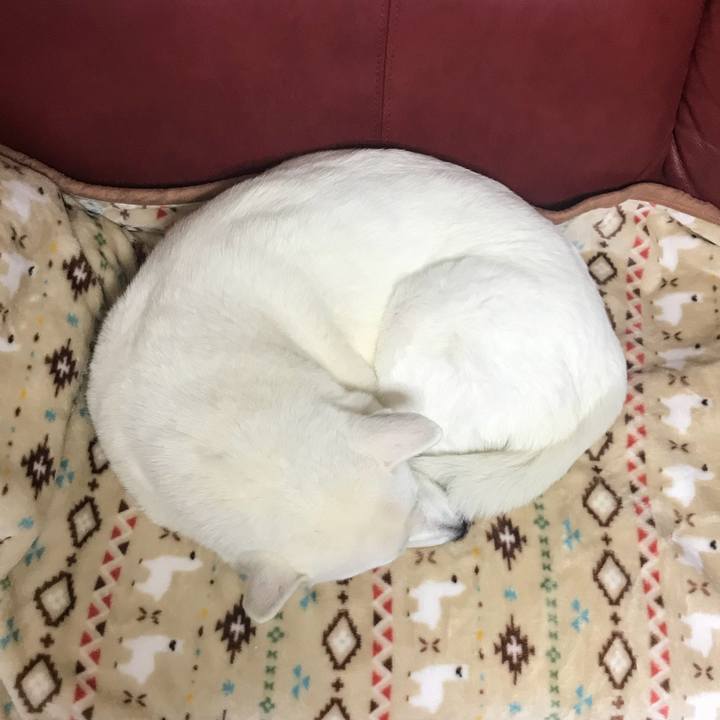 9d82207b 69d5 4e9f 91ef 0b9e77465295 1512474403286