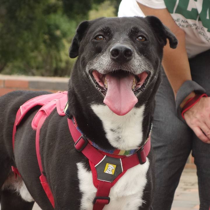 9d822388 a80d 4258 8a63 38371d304ac5 1694389981856