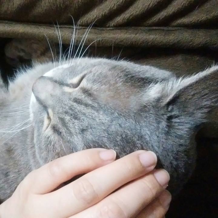 9d822580 a8e3 4b70 98fe d36bbdeb340e 1521805633557