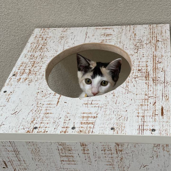 9d8239d6 49f1 41ea 9ffc 09a313755123 1659405867680