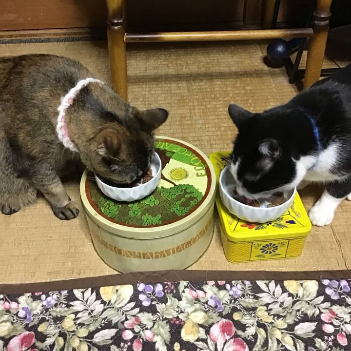 9d828d37 1c58 439c b3a0 51035a9f745c 1745828062303