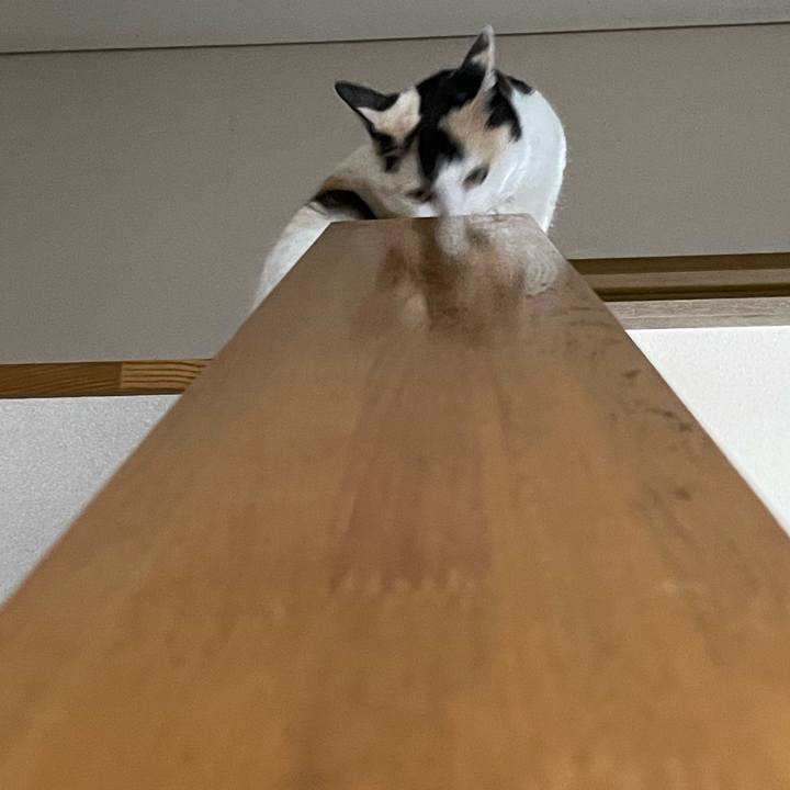 9d82bd54 a60f 4eca ae05 77f0b23a803f 1744960885804