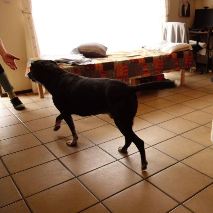 9d82bf22 1835 41e6 8f89 f1d7a7f8a5ea 1749262319977