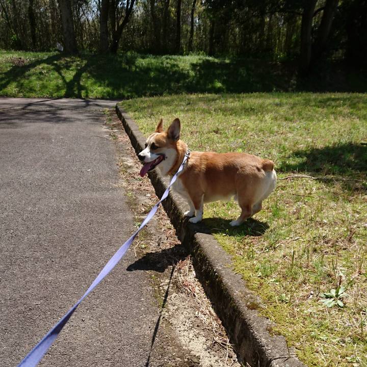 9d832cf3 5e01 4d4c bae3 28ca01294981 1586562524033