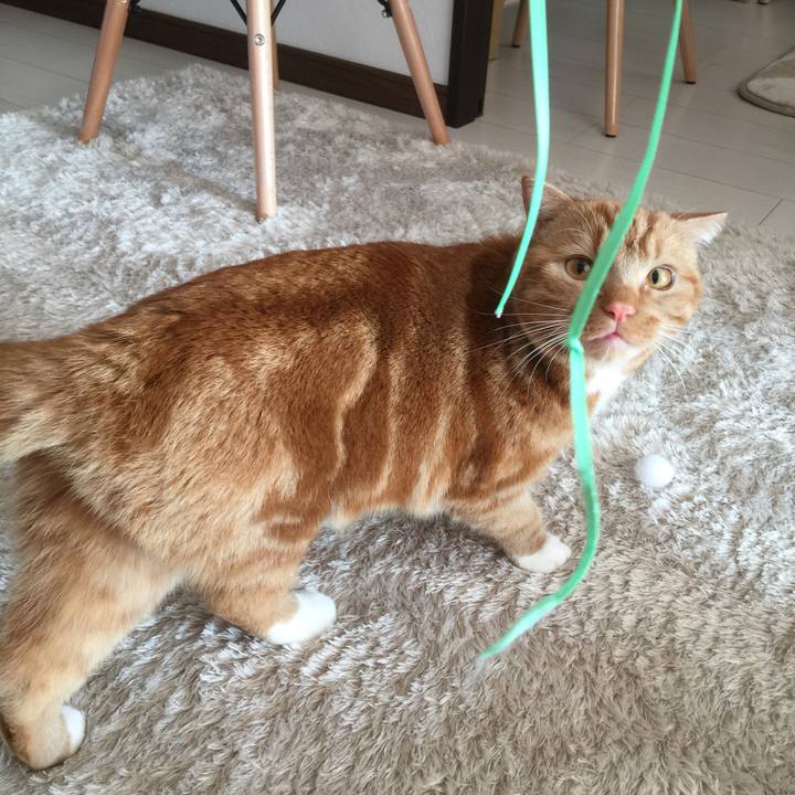 9d832dc3 c465 4894 875a 131fd69485f9 1516148144630