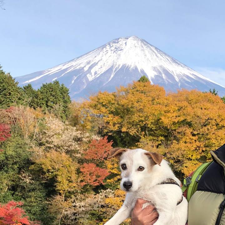 9d833845 ec7f 4252 b736 7db18ea11eca 1511682655785