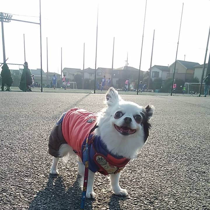 9d836f4b 22a8 4fa1 966f c92b7b76fb29 1516437102701