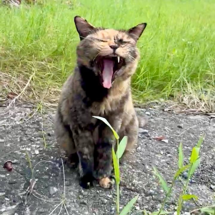 9d8374df e48b 43b7 9604 b1c2a0c8cbbf 1757490406040