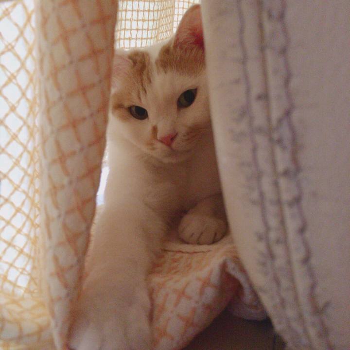 9d839ac8 8174 4c11 9941 b0f9e3ce7a50 1515237707246