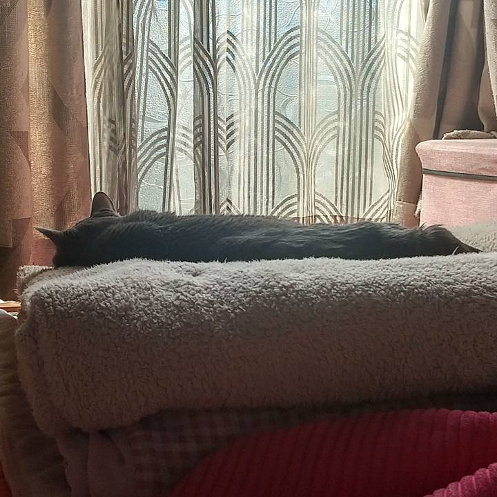 9d83c847 36db 4f86 9153 5df06a80931a 1683157032711