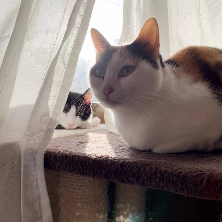 9d83d578 82c0 441c 92cd 454d24045227 1544753413159