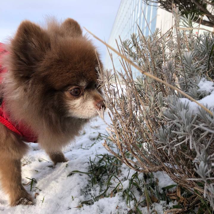 9d83dba7 baed 4875 94a8 8501f01af8c0 1639872248251