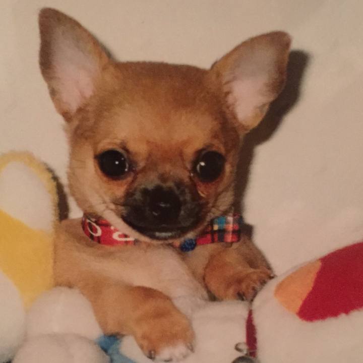 9d83e12c 8274 4957 844a 92692af220c4 1584923305093