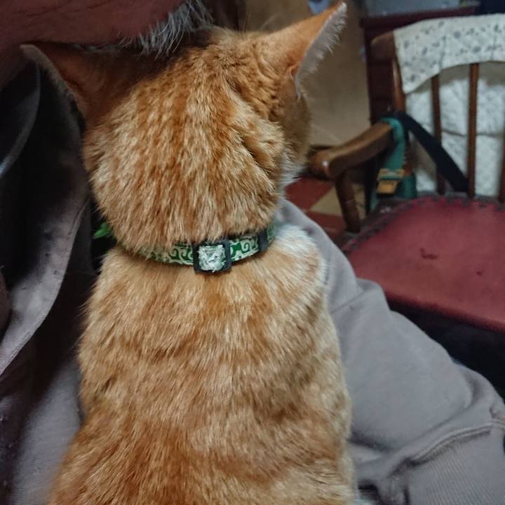 9d83efbb ca5b 452a b81f 0dc1a7614c00 1585826293362