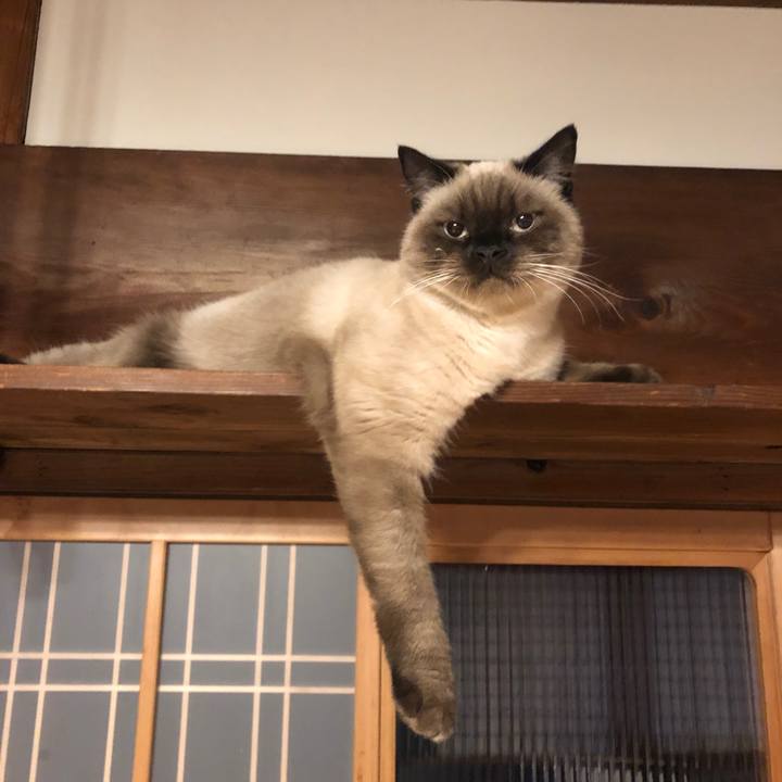 9d841913 5ed8 43b4 af36 d4d0e47285bf 1604199523352