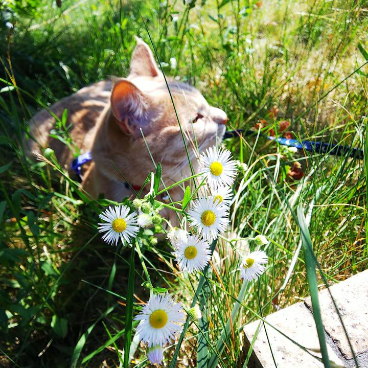 9d842d39 fb94 4419 8d6b 6c5f740846bc 1562390244993