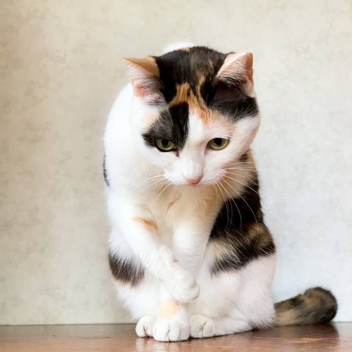 9d8436d9 93cc 4f42 8272 8fae8bdb704e 1591236518870