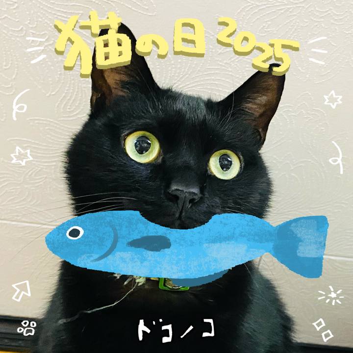 9d84490f d646 4171 bf0d 6232f6c55e90 1740184743073