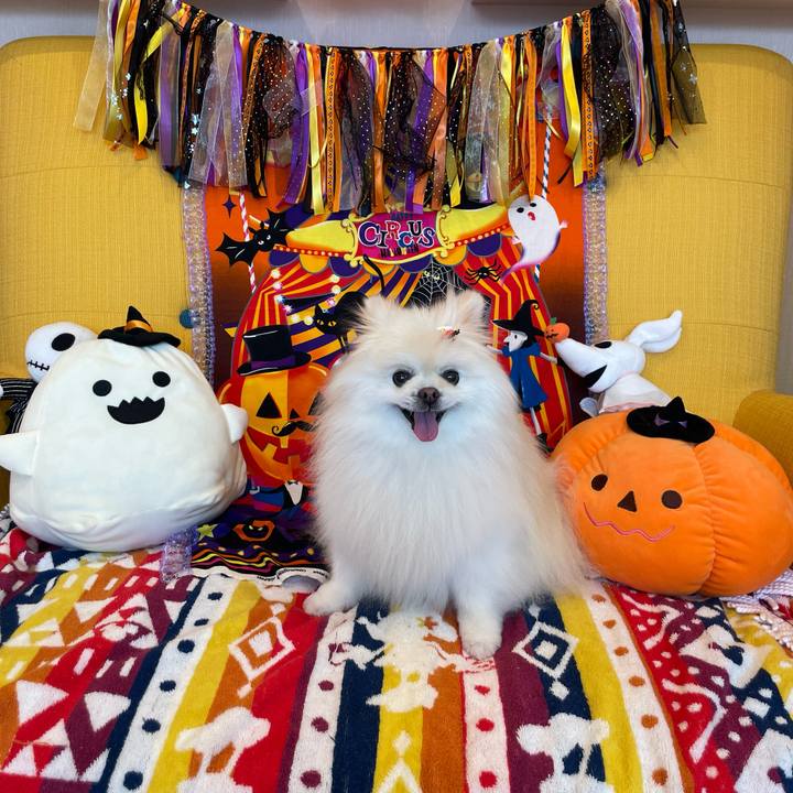 9d845d3f 76ad 47ce 90d9 9b703e241f70 1665360920669