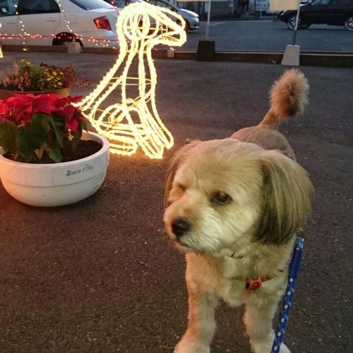 9d846198 bdfb 4c17 8411 0b9dbbd574ab 1512294414952