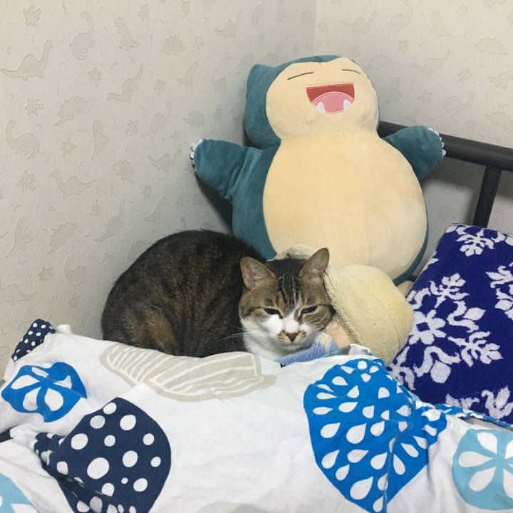 9d849406 621e 41b3 8759 7f2d3e2f3852 1547823003074