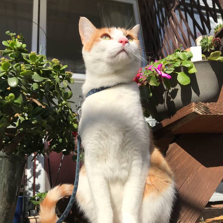 9d84b47c aec9 4ba1 8313 16207f01d31c 1509339430953