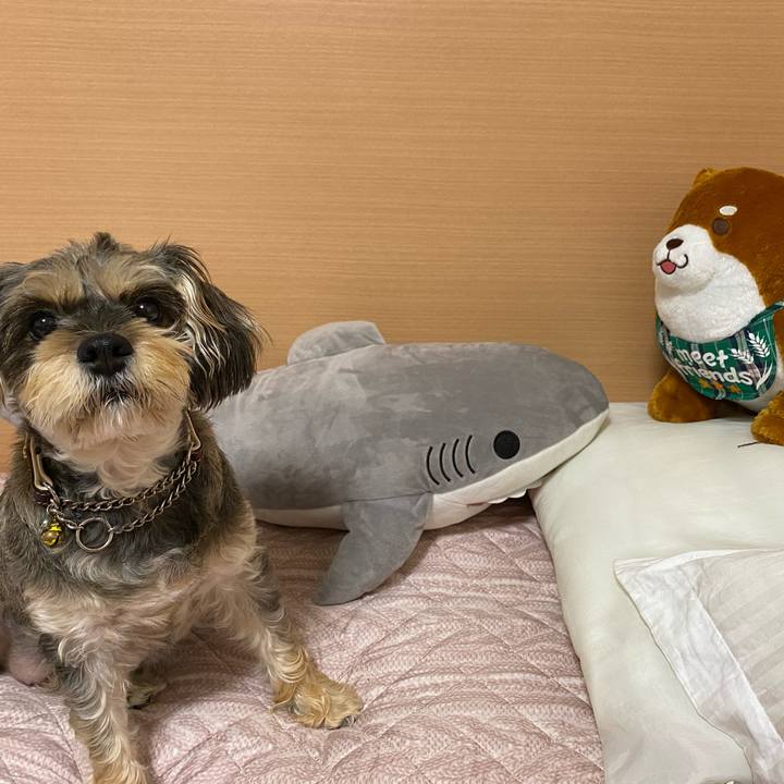 9d84ba78 1dcc 4572 8433 8926d4fd18f2 1602818852933