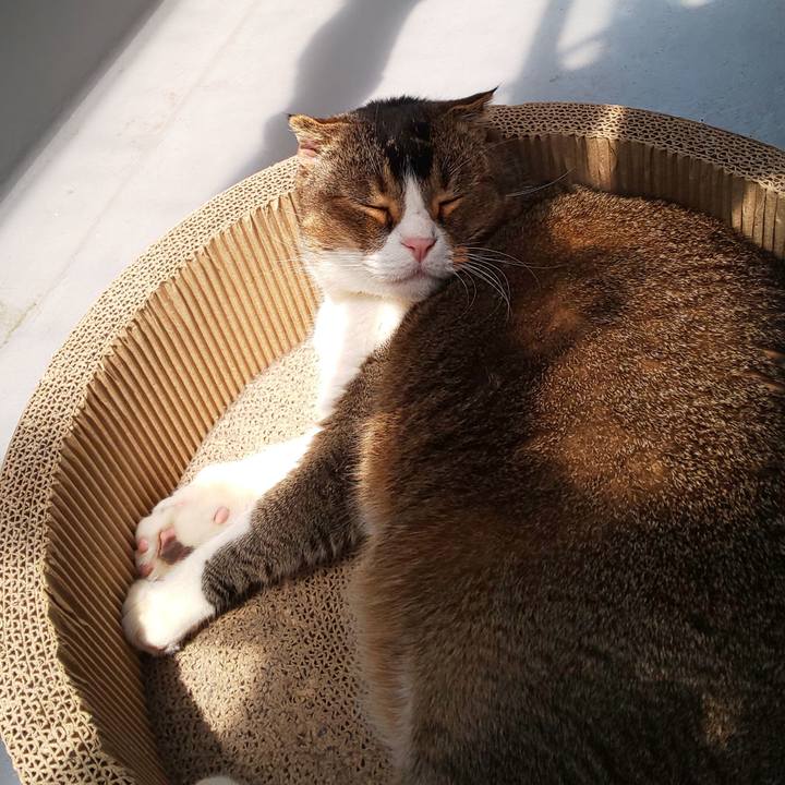 9d850543 38f6 4585 b8dc 70f03cc5e2ed 1588647721731