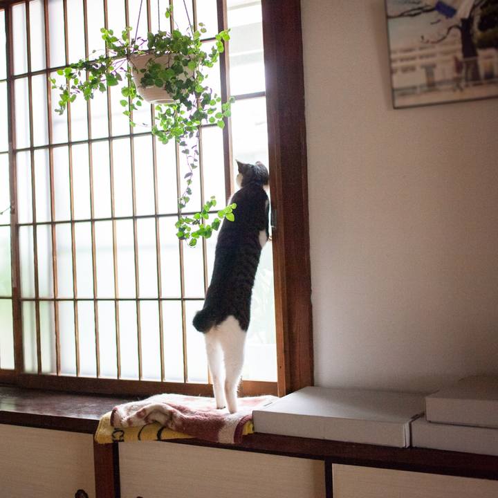 9d85456c 4a46 4f92 97b5 be2b5d622ca1 1562682919074