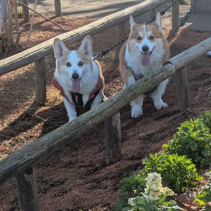 9d854c64 0d99 48b5 a77b f5c8266c3c7a 1767863045838