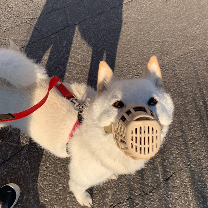 9d854e1f 3c71 4aa3 b5f6 5afbbb2193d2 1563744393820