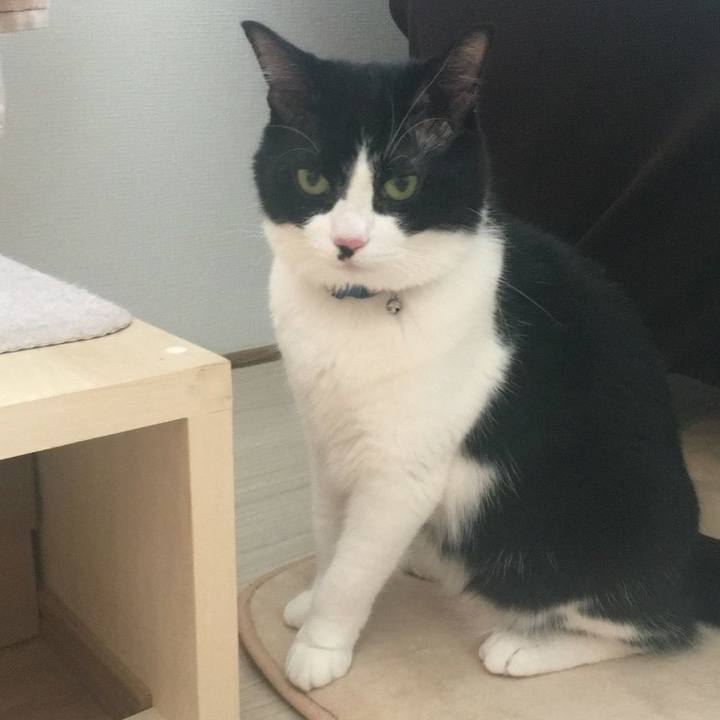 9d8585c9 6b07 433f bc3e b7ec6fd83681 1527781237950