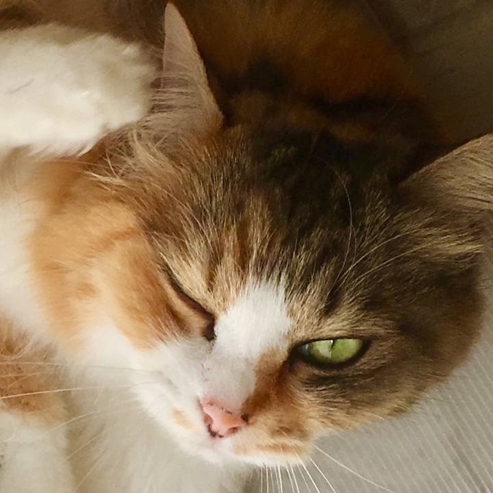 9d85a7e6 22e5 4bb6 af69 44996cccbcbe 1565066153056