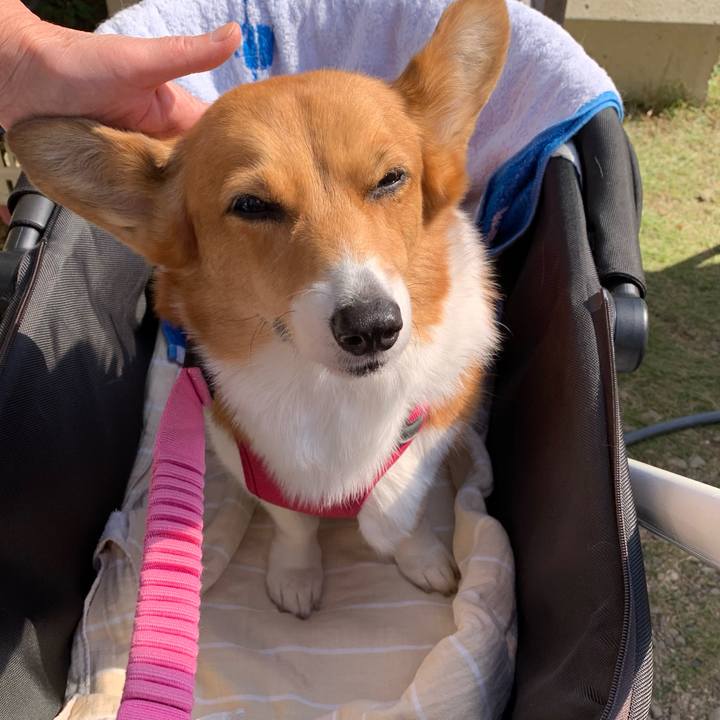 9d85e9a4 641e 4660 8cc2 c37cee616125 1667014952755