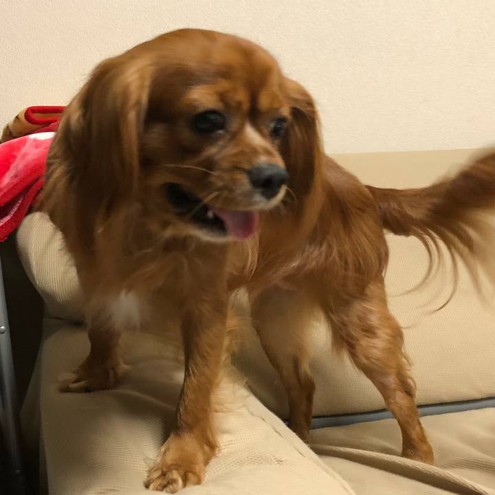 9d85ea07 47ae 4322 a037 a4dd2077f7cf 1530278249431