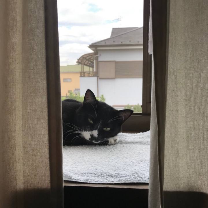 9d862788 a801 422e b443 3a7aa498ce52 1530338162498