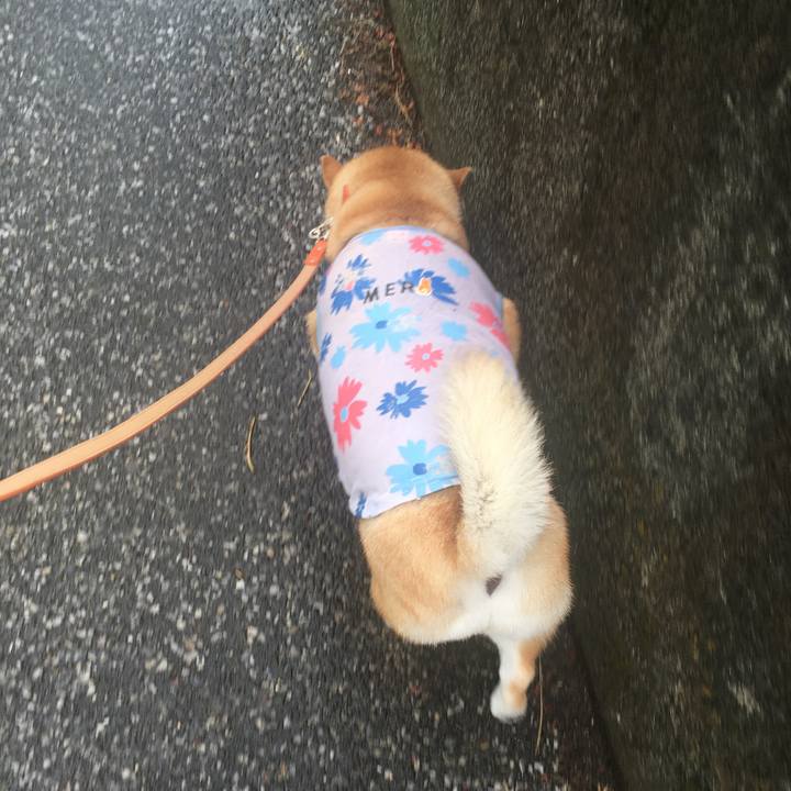 9d862fa1 656f 45c4 9fdd 2710246365f3 1592790458325