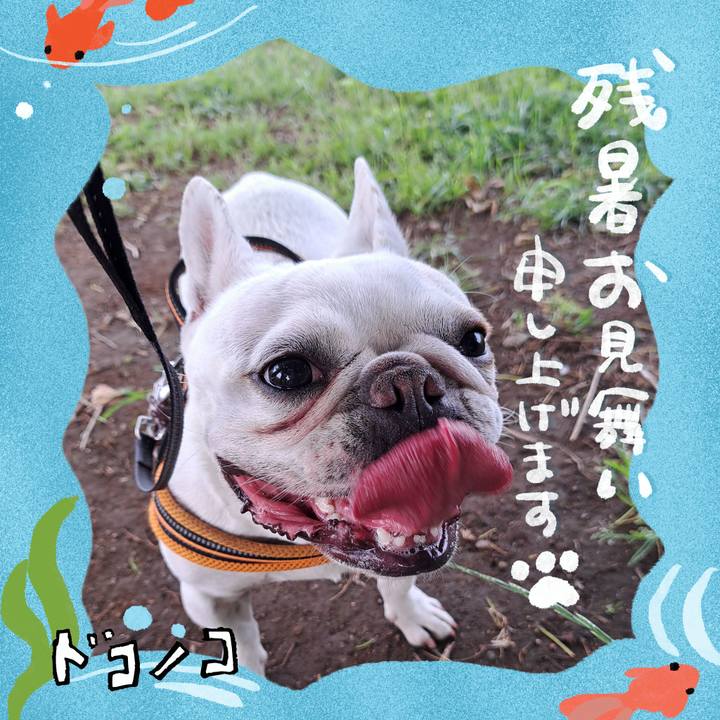 9d865989 d146 4000 9bf1 c307696aac98 1723252071376