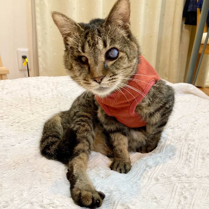 9d8670d7 0909 440d bb84 1fe8293b9472 1681302812628