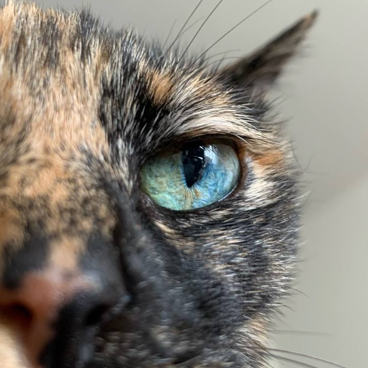 9d8695bd 1a4a 4c80 a8da 0f9d591b2214 1642779220544