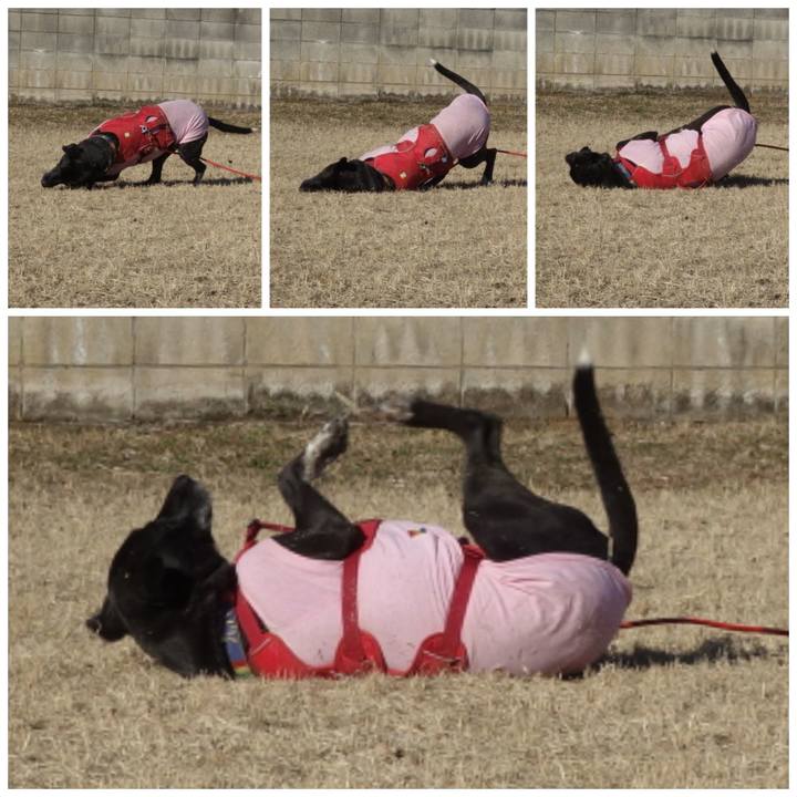 9d86ff2e a688 47ab abec 08c81c8e9d66 1677375000316