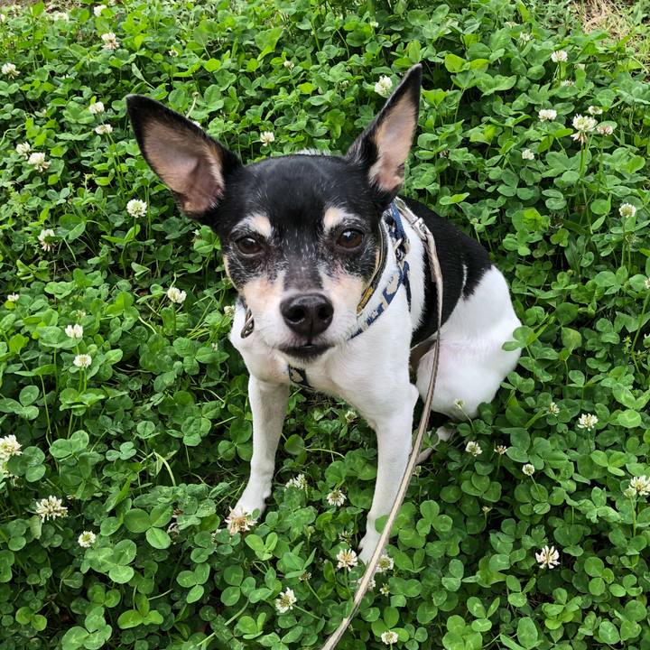 9d872027 c35b 451b 88fb fecbbf383f0d 1525653022538