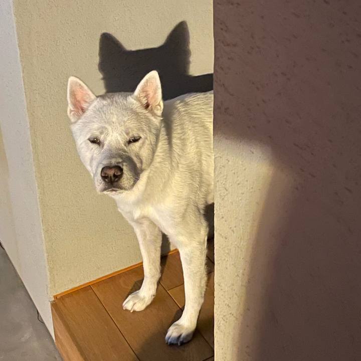 9d872a17 5f0c 46da aa84 30d491bda57a 1637237748335