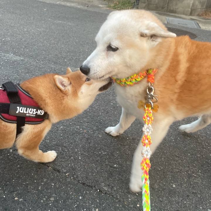 9d878c4b 1024 4f81 95ea 4e5063dffff3 1636067092098