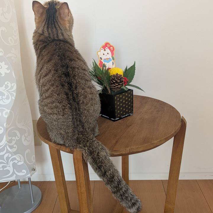 9d879968 ad65 4a05 9a5f bb992a5a01a0 1767311173601