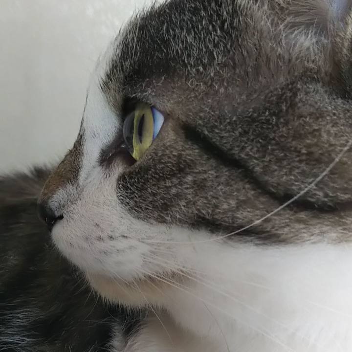 9d87bdfd b6be 4159 bdf4 4ab1d9cc9058 1600857177341