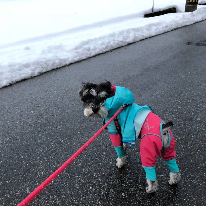 9d8801ad fc3d 4114 9e03 465dfc1ff811 1517750229568