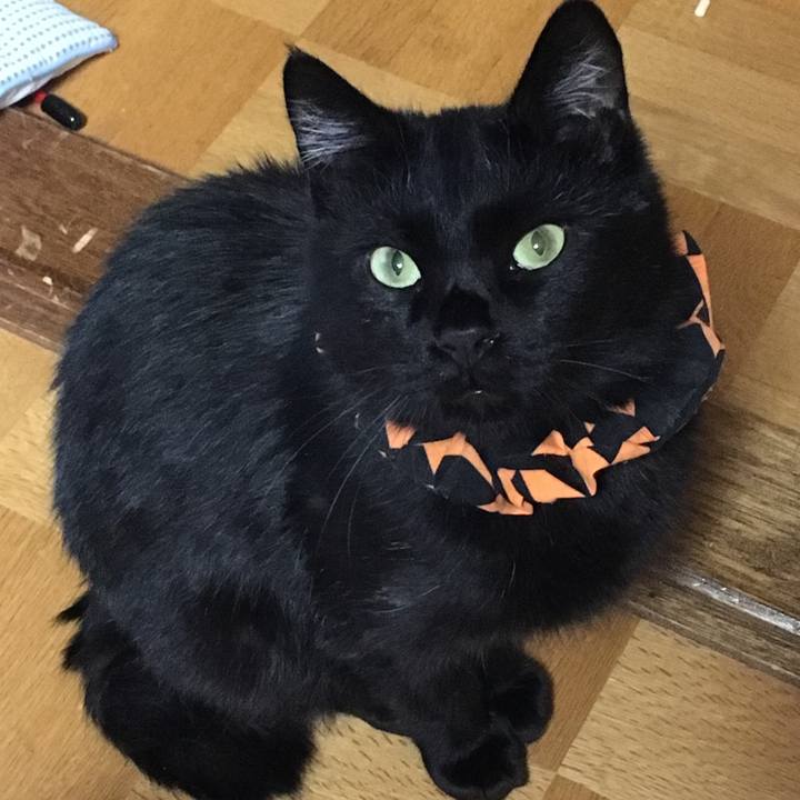 9d882904 f332 4c10 af87 367b8c3cf084 1539257280685