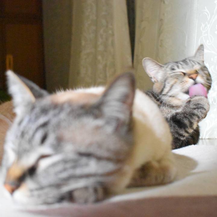 9d885f32 8614 4c03 86ca da027c8a78fc 1526475749473